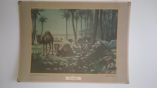 Onder de dadelpalmen