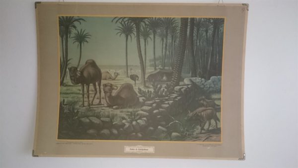 Onder de dadelpalmen