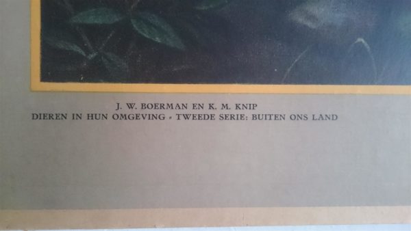 Onder de dadelpalmen - VERKOCHT - Afbeelding 2