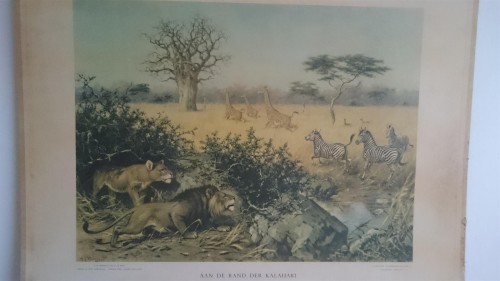 Aan de rand der Kalahari - VERKOCHT