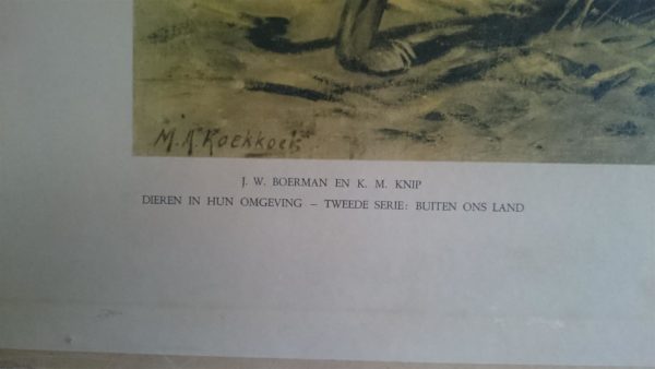 Aan de rand der Kalahari - VERKOCHT - Afbeelding 2