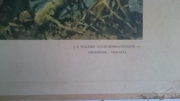 Aan de rand der Kalahari - VERKOCHT - Afbeelding 3
