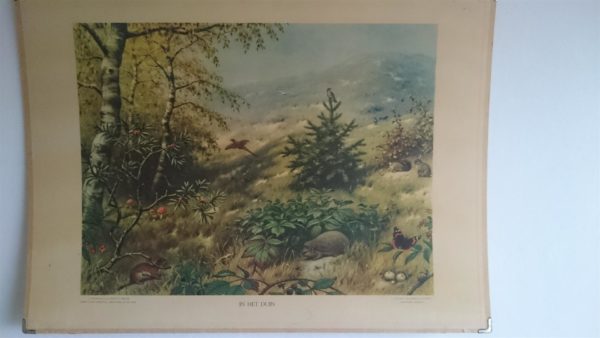 In het duin - VERKOCHT