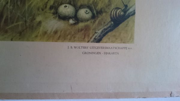 In het duin - VERKOCHT - Afbeelding 3