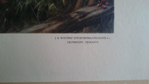 In de rimboe - Afbeelding 2