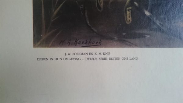 In de rimboe - Afbeelding 3