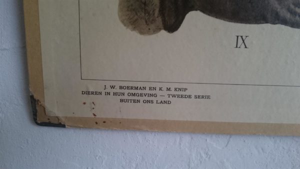 In de rimboe - Afbeelding 7