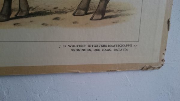 In de rimboe - Afbeelding 8