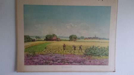 Een esch in Drenthe