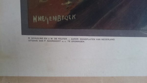 Vervening te Emmen Compascum - Afbeelding 2