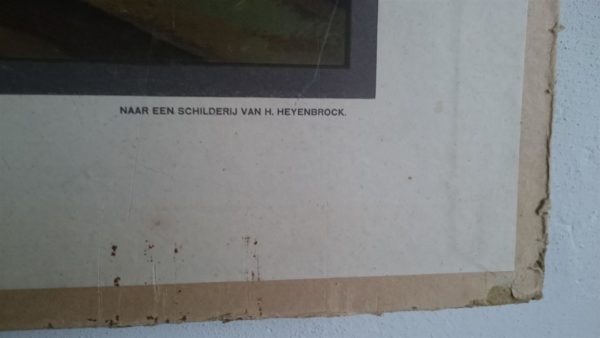 Vervening te Emmen Compascum - Afbeelding 3